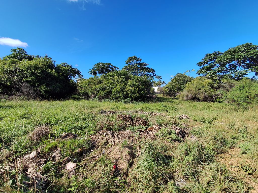 Terreno no Mosqueiro 2200m²