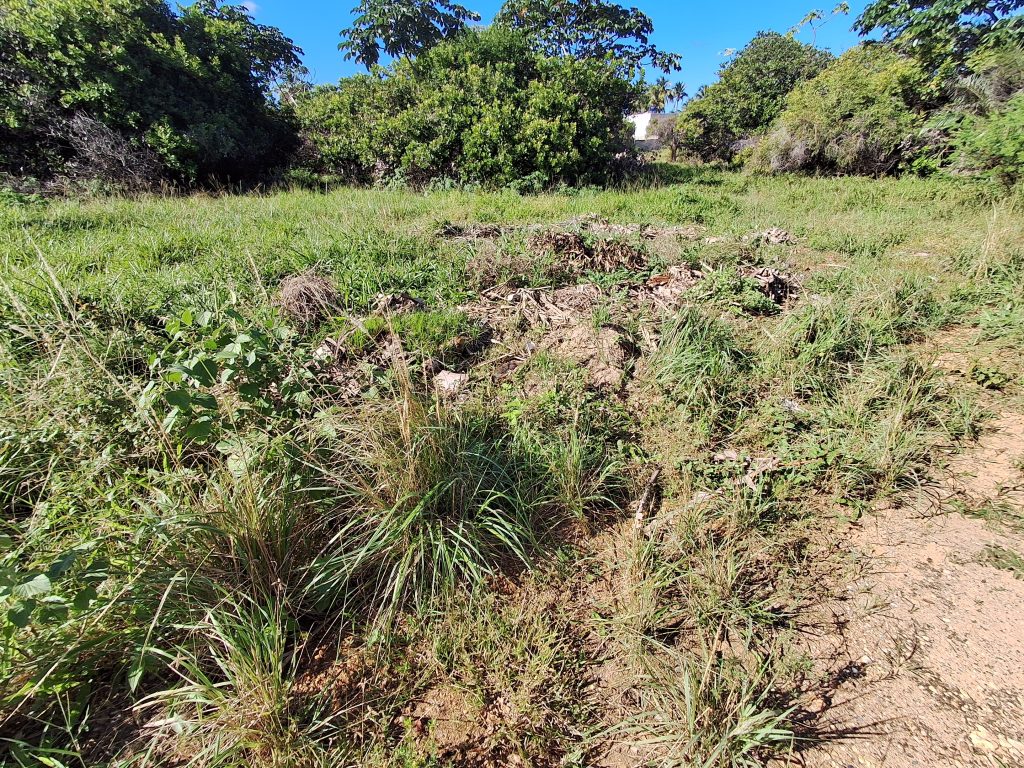 Terreno no Mosqueiro 2200m²